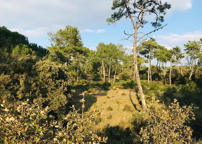 Le Richelieu, Charme Face Ocean